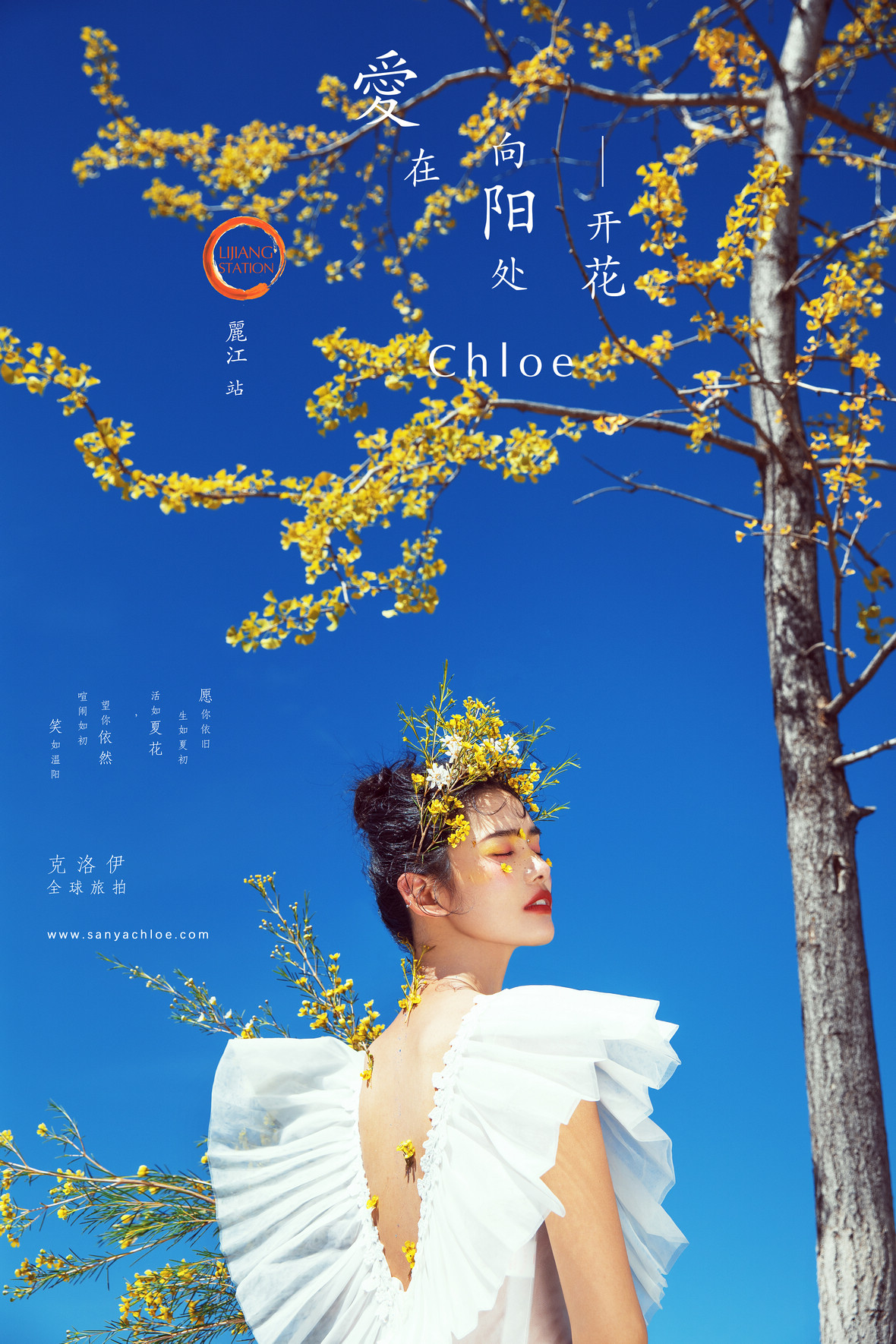 許先生&大女士