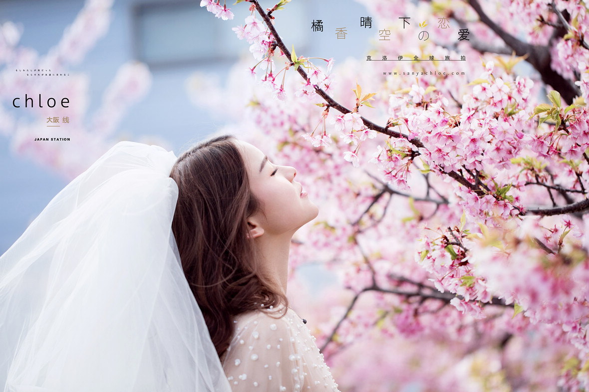 霓虹國(guó)的春，可以這么拍婚紗照