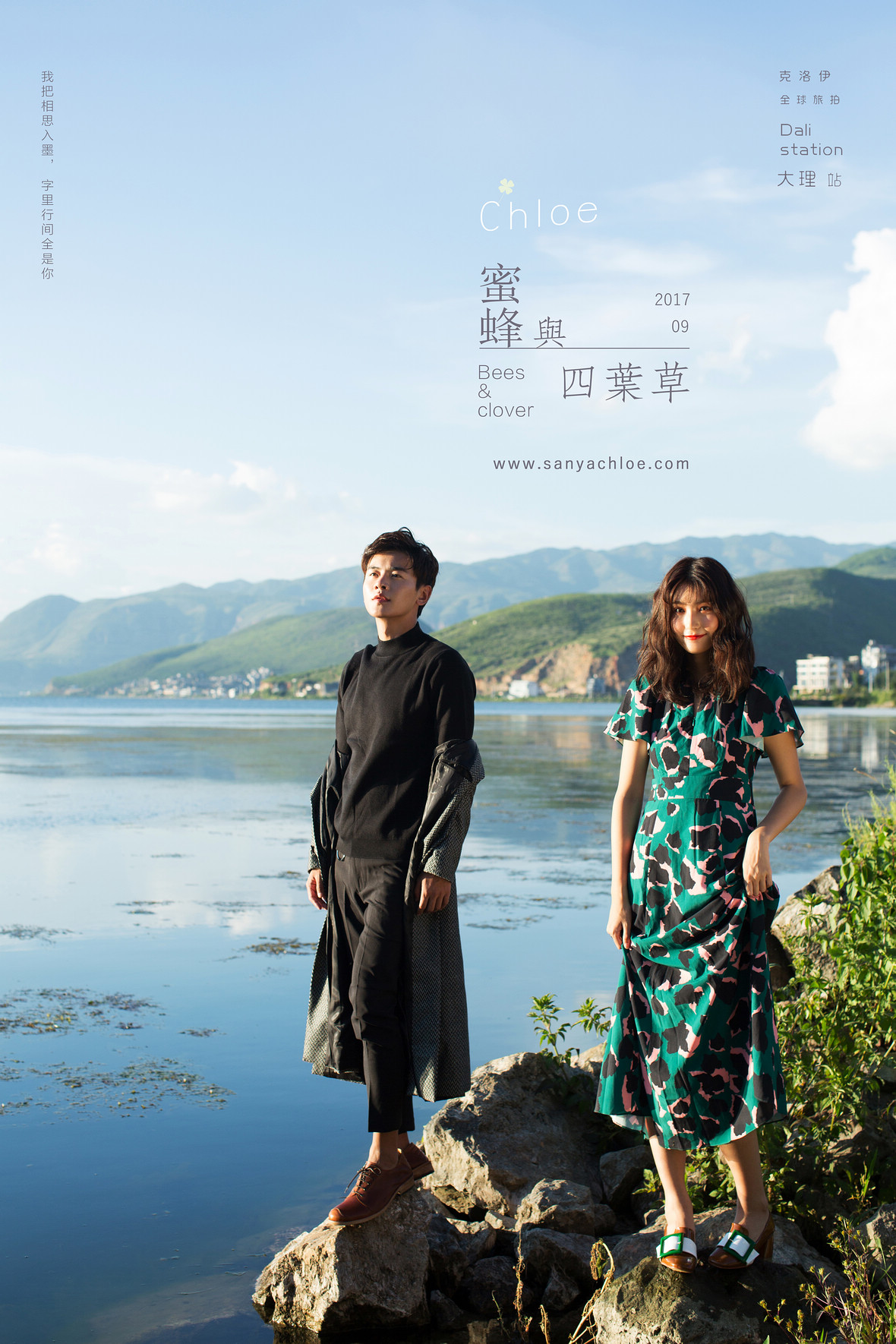 蜜蜂與四葉草