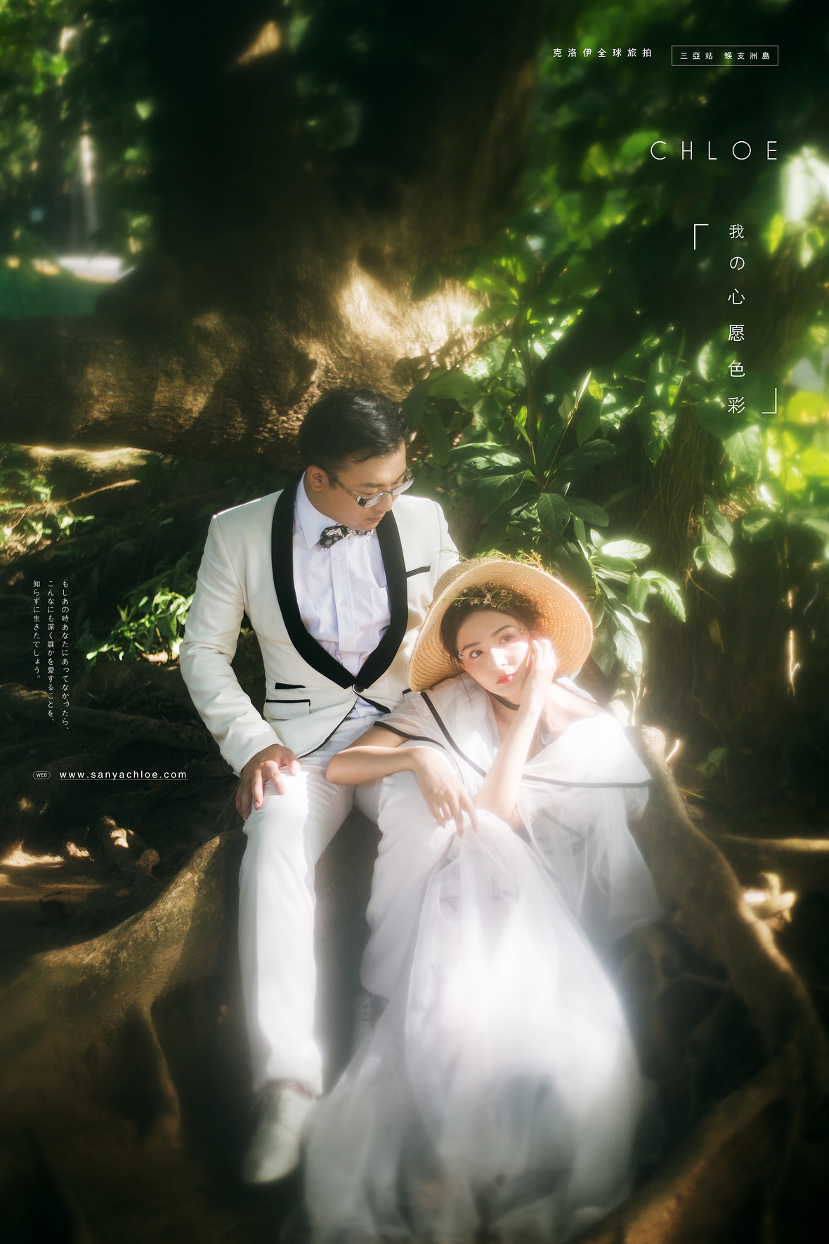 智先生&強女士