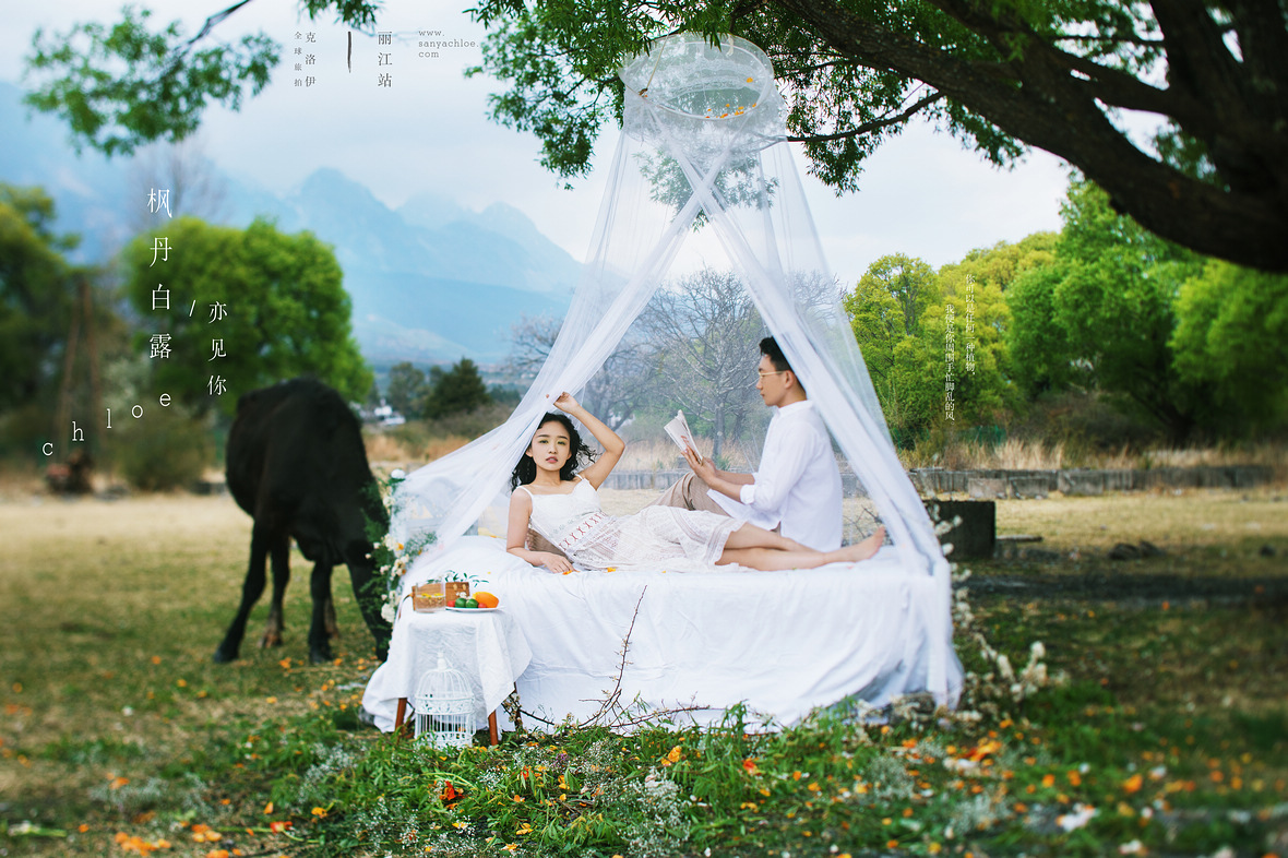 「煮茶賞花 擁抱自然」的婚紗照，才是真正的詩(shī)和遠(yuǎn)方